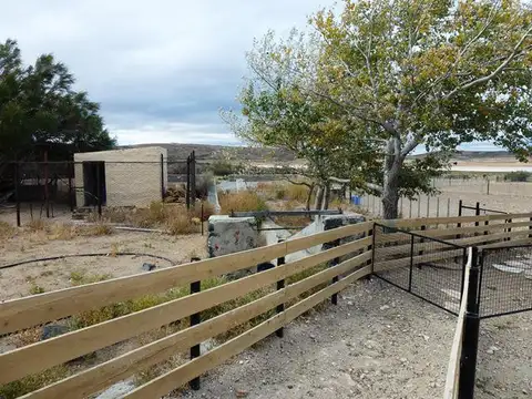 INMOBILIARIA COMODORO - CAMPO 5.000 has LISTO PARA PRODUCIR - AGUADAS NATURALES