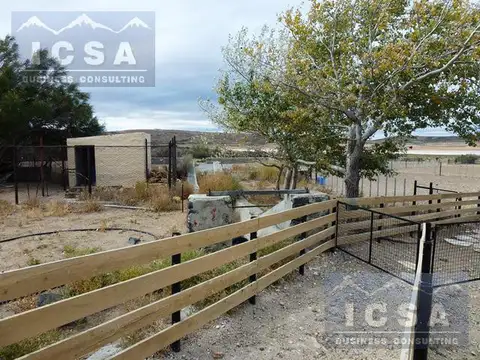 INMOBILIARIA COMODORO - CAMPO 5.000 has LISTO PARA PRODUCIR - AGUADAS NATURALES