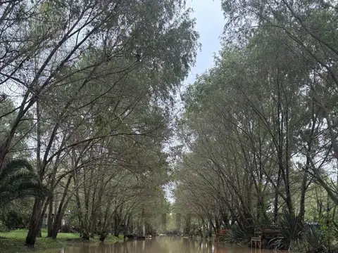 Arroyo Sandor Mikler , Piso 0