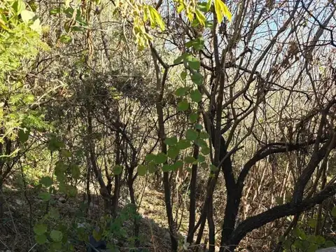 Terreno en Venta en San Javier, USD 13.000