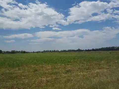 VENDE CAMPO DE 17 HECTÁREAS EN MARCOS PAZ