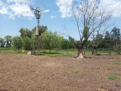 Camino Real A Moreno