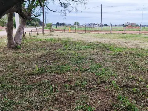Terreno en  Venta- Rosario Norte- 680 M2