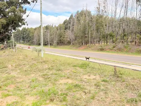 Terreno en Venta de 890,0 m2