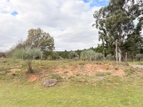 Terreno en Venta de 890,0 m2
