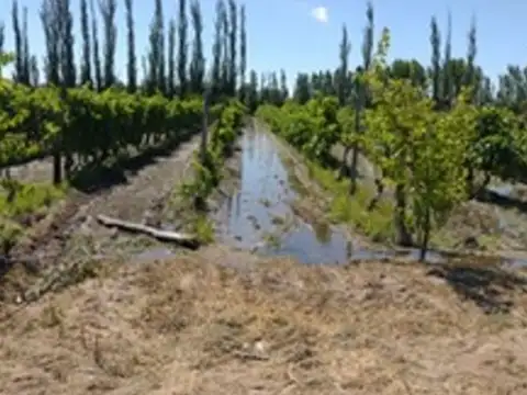 Ruta Provincial 50