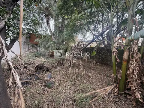 Terreno en Venta 50  mts Frente