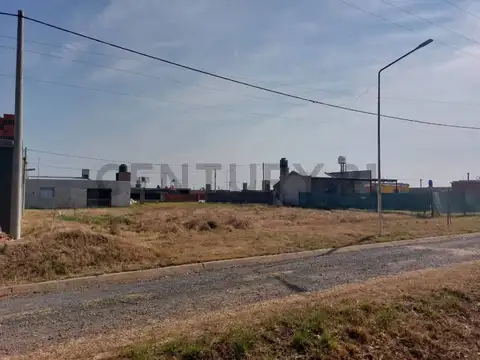 La Arbolada , Piso 0