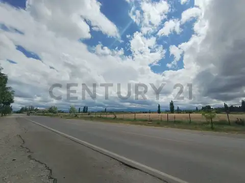 Servidumbre de Tránsito con salida a Los Álamos y Ruta Provincial 89 100
