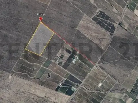 Century 21 vende 60 hectáreas de chacra en Valle de Uco