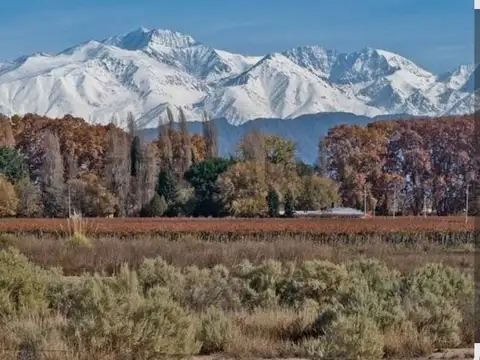 Servidumbre de Tránsito con salida a Los Álamos y Ruta Provincial 89 100