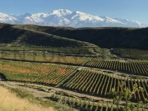 Servidumbre de Tránsito con salida a Los Álamos y Ruta Provincial 89 100