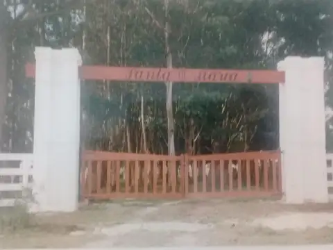 546 Hectáreas campo ganadero en General Lavalle - SC674