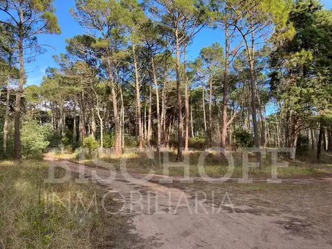 Terreno en Venta en Carilo, USD 125.000