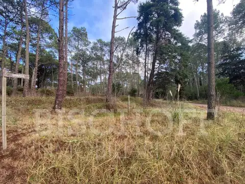 Terreno en Venta de 1418,0 m2