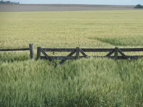 Camino Rojas- Gualeguaychú 100