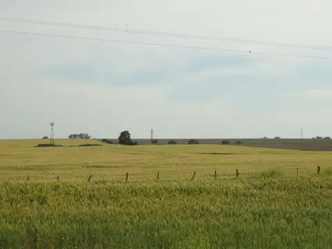 Campo en Venta de 180  ha