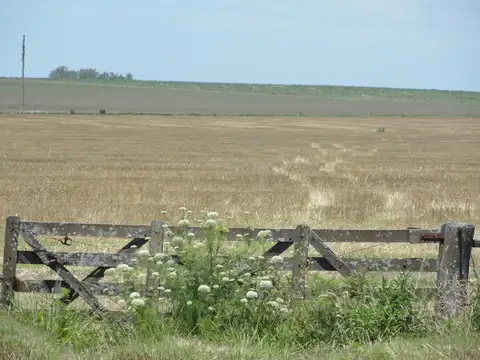 Campo en Venta de 180  ha