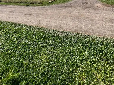 Terreno en Venta de 600,0 m2