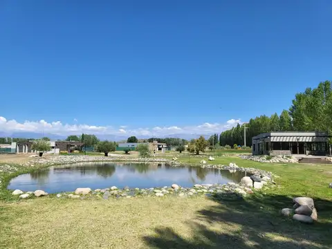 Terreno en Venta de 1195,0 m2