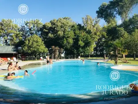 Haras SAN Pablo