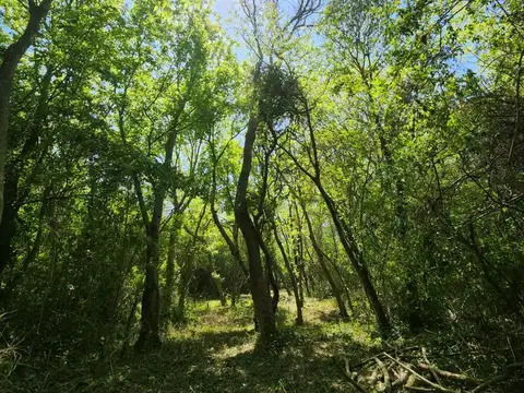 Terreno en Venta en Ensenada, USD 28.000