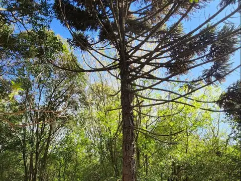 Terreno en  ISLA SANTIAGO