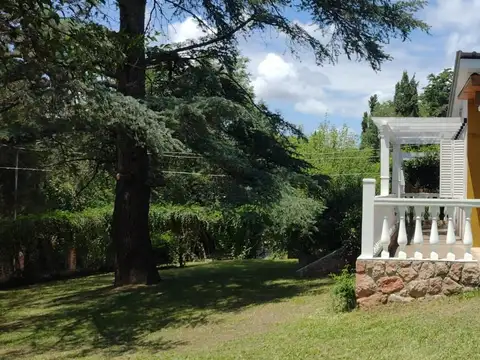 Guayquiraro 100