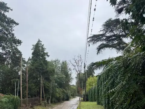 Guayquiraro 100