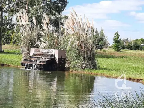 Benquerencia Farm Club Chacra 29