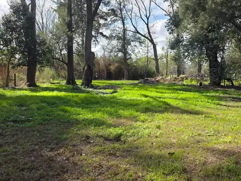 Terreno en Venta 24  mts Frente