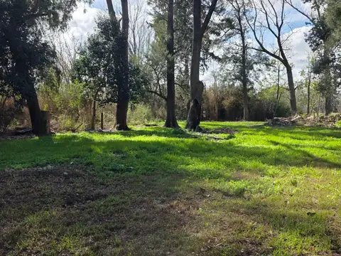 Terreno en Venta 46  mts Fondo