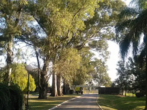 Ruta Provincial 2