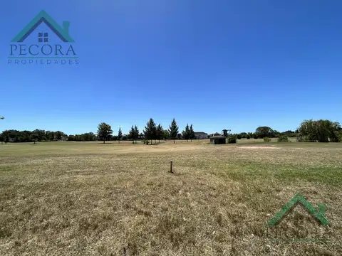 Terreno - Interno al golf - El Trébol - Haras Santa Maria - lote 1532