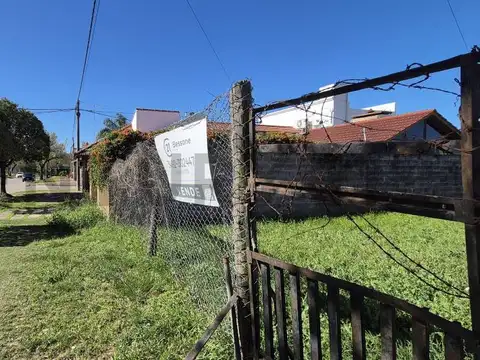 Cossetini 200, Piso 0