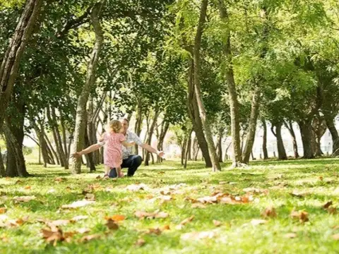 Terreno en Venta 32  mts Fondo