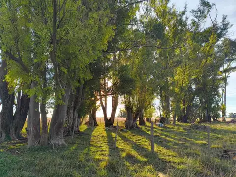 Casa en Venta 40 años