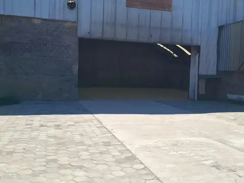 Colectora Panamericana Este