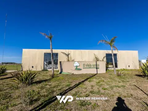 Lotes en Venta San Vicente | El Viejo Ombú - 100% FINANCIADO