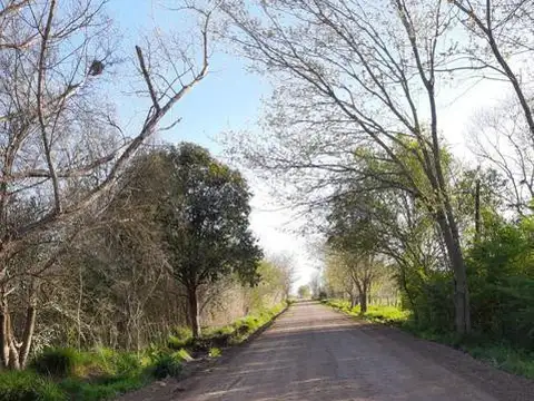 Terreno en Venta en Joaquin Gorina, USD 16.000