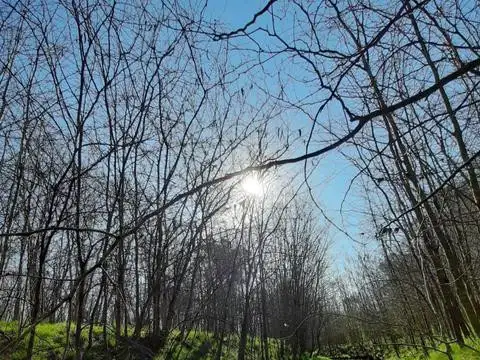 Terreno en Venta 25  mts Fondo