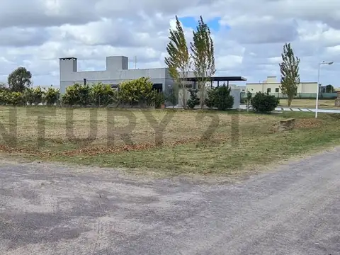 RUTA 4
