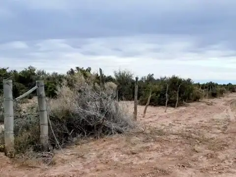 Remax Vende Campo