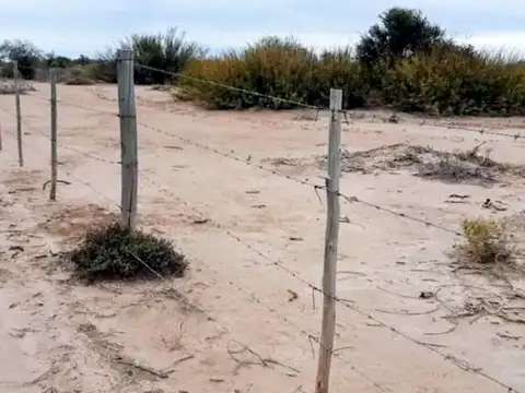 Remax Vende Campo