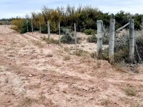 Remax Vende Campo