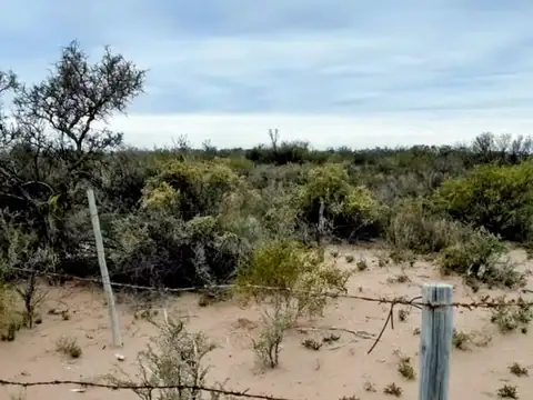 Remax Vende Campo