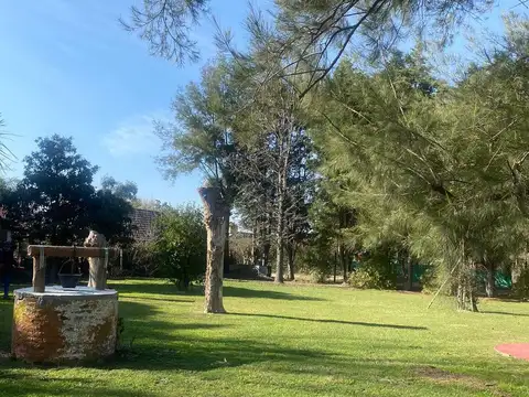 Parque Sakura - Jose Marti