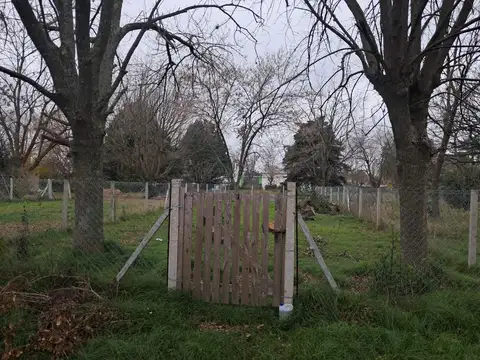 Terreno en venta - 454Mts2 - Villa Elisa