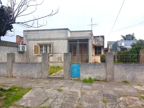 Chanas 1500