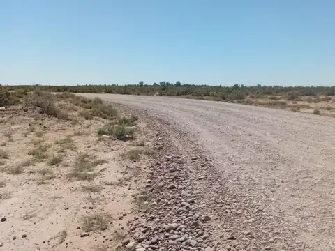 Montenegro y La Menta